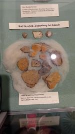 Museum_2025_1.jpeg